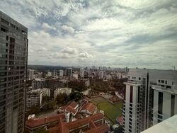 Ardmore Residence (D10), Condominium #575019921